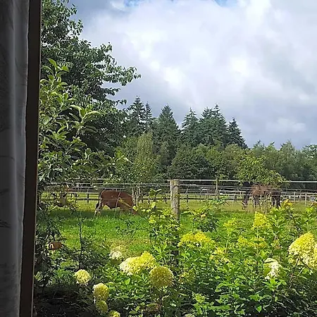 De Priesnitzhoeve Bed & Breakfast 3*