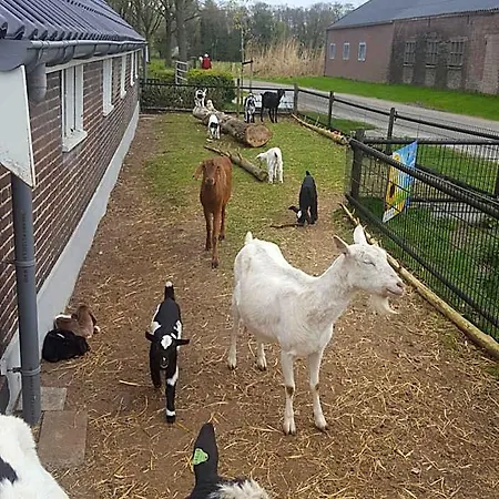De Priesnitzhoeve Bed & Breakfast Laag-Soeren