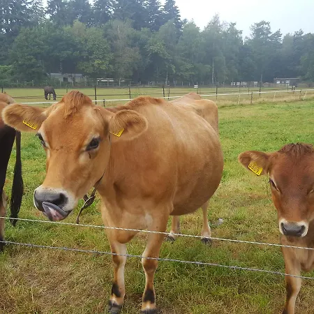 B&B De Priesnitzhoeve