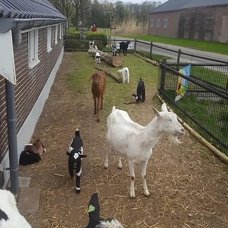 Bed & Breakfast De Priesnitzhoeve 3*