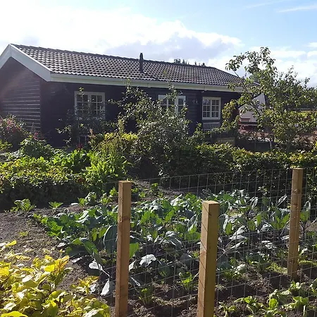 B&B De Priesnitzhoeve Laag-Soeren