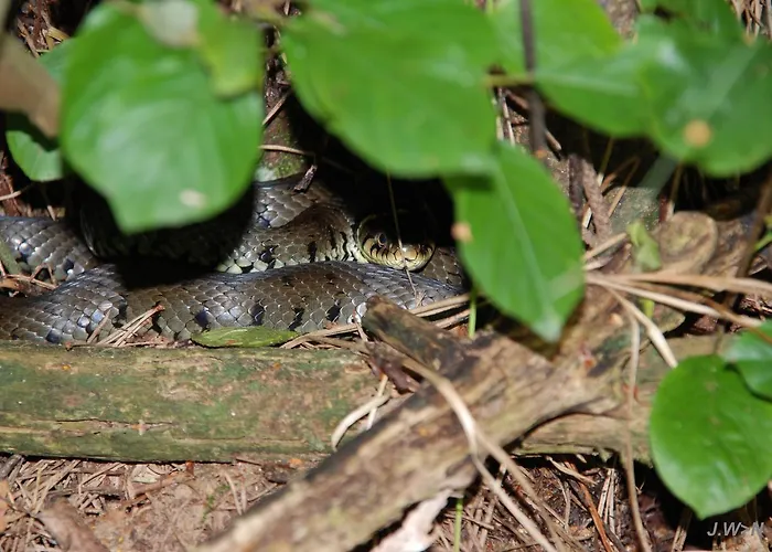 De Priesnitzhoeve 3* Laag-Soeren