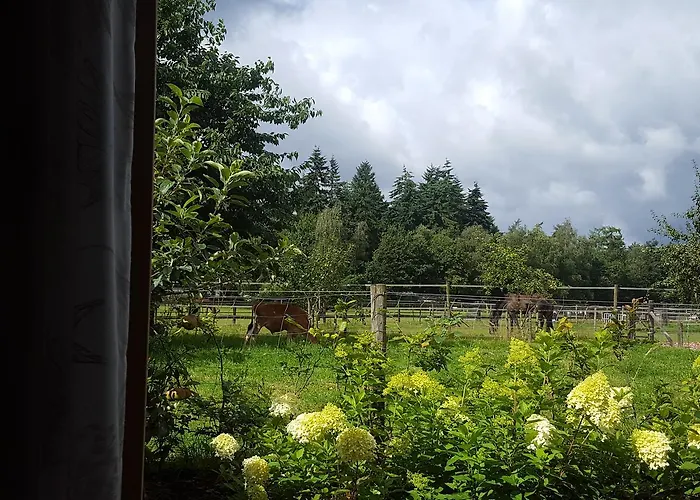 De Priesnitzhoeve Bed & Breakfast 3*