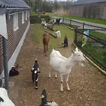 Oda ve Kahvaltı De Priesnitzhoeve 3*