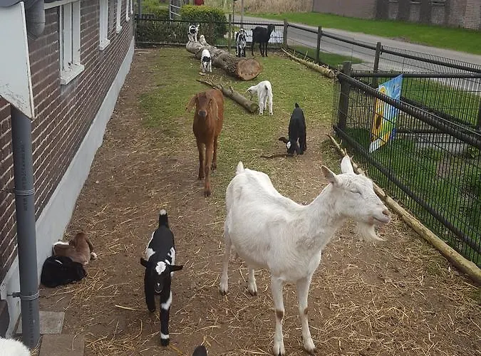 فندق مبيت وإفطار De Priesnitzhoeve 3*